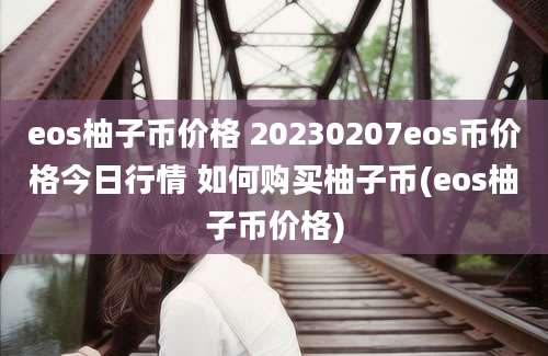 eos柚子币价格 20230207eos币价格今日行情 如何购买柚子币(eos柚子币价格)