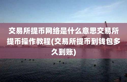 交易所提币网络是什么意思交易所提币操作教程(交易所提币到钱包多久到账)