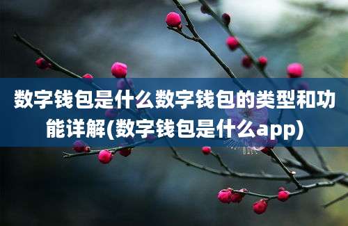 数字钱包是什么数字钱包的类型和功能详解(数字钱包是什么app)