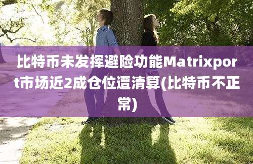 比特币未发挥避险功能Matrixport市场近2成仓位遭清算(比特币不正常)