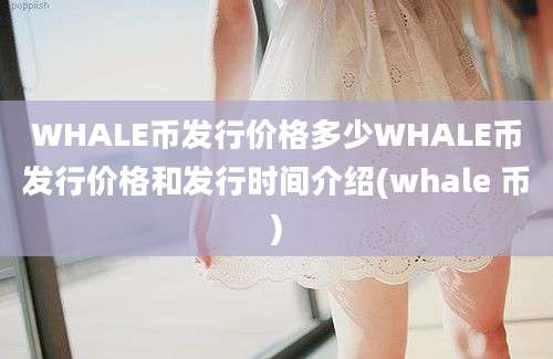 WHALE币发行价格多少WHALE币发行价格和发行时间介绍(whale 币)