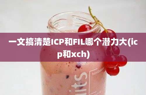 一文搞清楚ICP和FIL哪个潜力大(icp和xch)