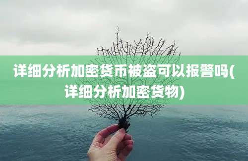 详细分析加密货币被盗可以报警吗(详细分析加密货物)