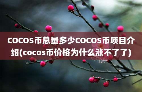 COCOS币总量多少COCOS币项目介绍(cocos币价格为什么涨不了了)