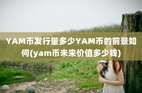 YAM币发行量多少YAM币的前景如何(yam币未来价值多少钱)