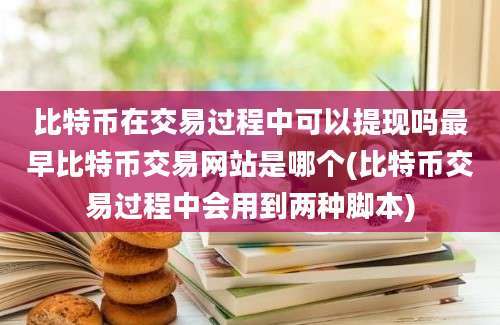 比特币在交易过程中可以提现吗最早比特币交易网站是哪个(比特币交易过程中会用到两种脚本)