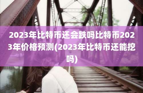 2023年比特币还会跌吗比特币2023年价格预测(2023年比特币还能挖吗)