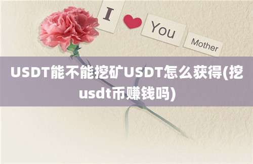 USDT能不能挖矿USDT怎么获得(挖usdt币赚钱吗)