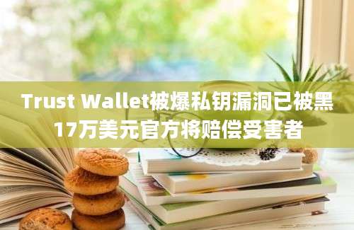 Trust Wallet被爆私钥漏洞已被黑17万美元官方将赔偿受害者