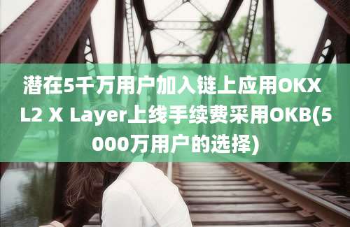 潜在5千万用户加入链上应用OKX L2 X Layer上线手续费采用OKB(5000万用户的选择)