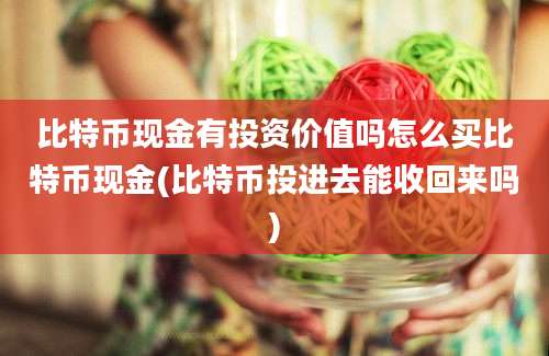 比特币现金有投资价值吗怎么买比特币现金(比特币投进去能收回来吗)