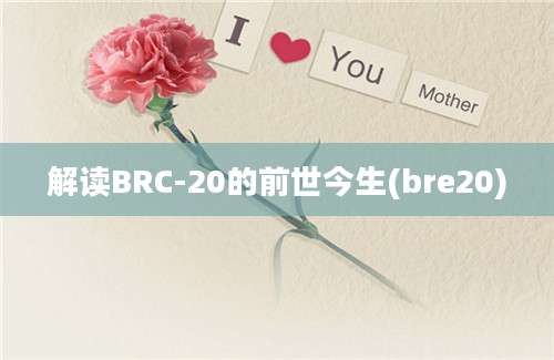 解读BRC-20的前世今生(bre20)