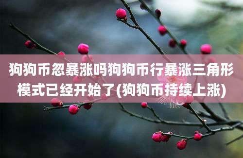 狗狗币忽暴涨吗狗狗币行暴涨三角形模式已经开始了(狗狗币持续上涨)