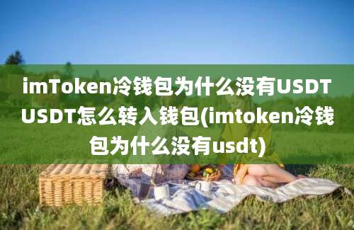 imToken冷钱包为什么没有USDTUSDT怎么转入钱包(imtoken冷钱包为什么没有usdt)