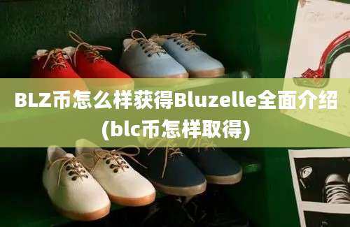 BLZ币怎么样获得Bluzelle全面介绍(blc币怎样取得)