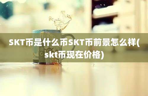 SKT币是什么币SKT币前景怎么样(skt币现在价格)