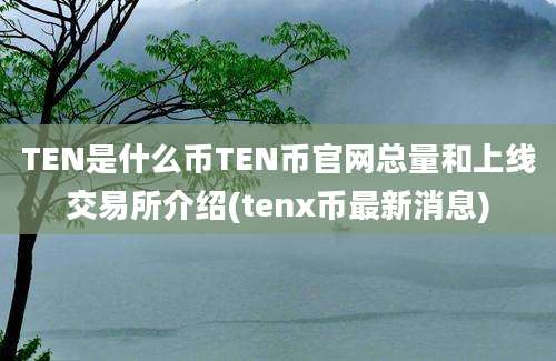 TEN是什么币TEN币官网总量和上线交易所介绍(tenx币最新消息)