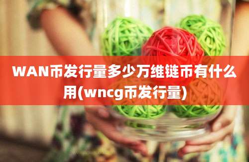 WAN币发行量多少万维链币有什么用(wncg币发行量)