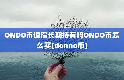 ONDO币值得长期持有吗ONDO币怎么买(donno币)