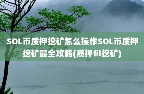 SOL币质押挖矿怎么操作SOL币质押挖矿最全攻略(质押fil挖矿)