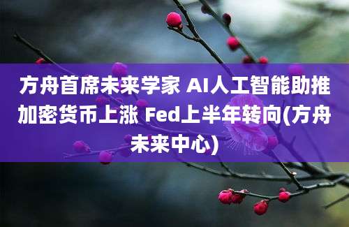 方舟首席未来学家 AI人工智能助推加密货币上涨 Fed上半年转向(方舟未来中心)