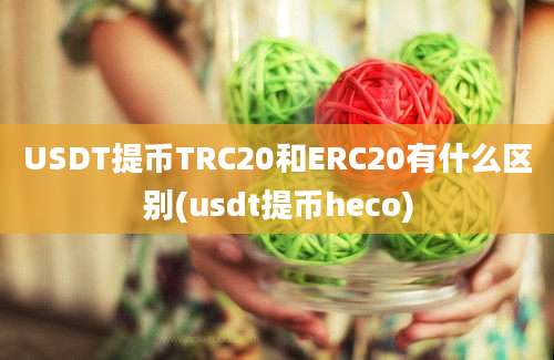 USDT提币TRC20和ERC20有什么区别(usdt提币heco)