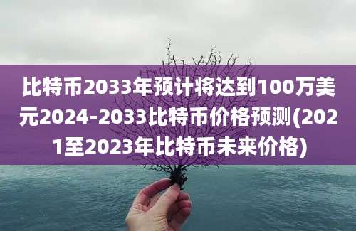 比特币2033年预计将达到100万美元2024-2033比特币价格预测(2021至2023年比特币未来价格)