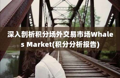 深入剖析积分场外交易市场Whales Market(积分分析报告)