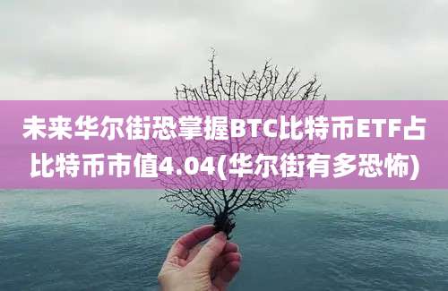 未来华尔街恐掌握BTC比特币ETF占比特币市值4.04(华尔街有多恐怖)