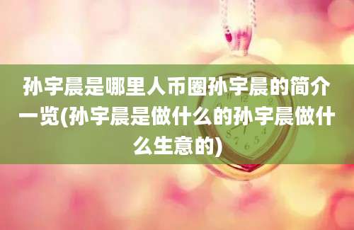 孙宇晨是哪里人币圈孙宇晨的简介一览(孙宇晨是做什么的孙宇晨做什么生意的)