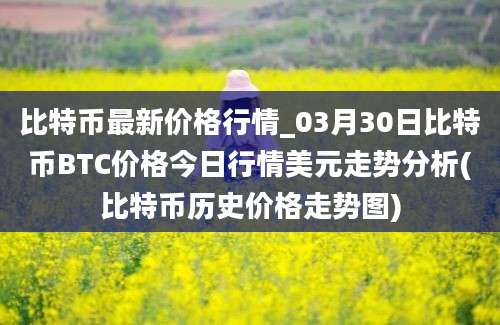 比特币最新价格行情_03月30日比特币BTC价格今日行情美元走势分析(比特币历史价格走势图)