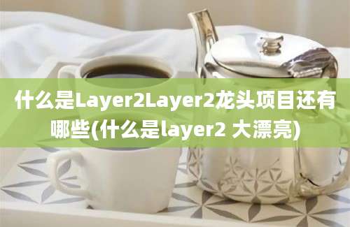 什么是Layer2Layer2龙头项目还有哪些(什么是layer2 大漂亮)