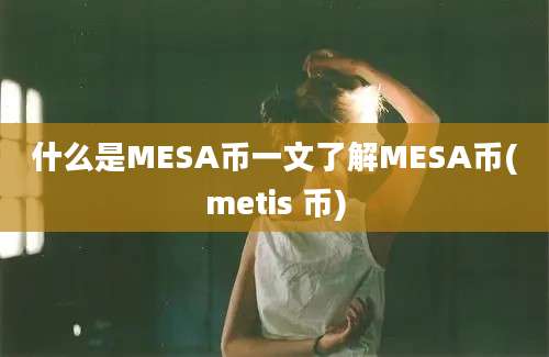 什么是MESA币一文了解MESA币(metis 币)