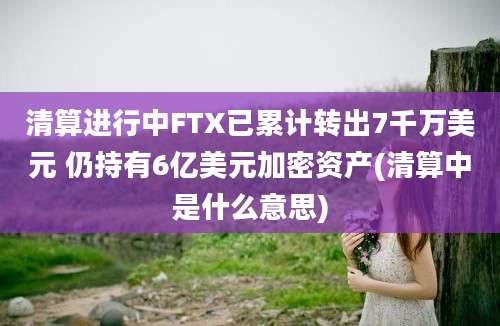 清算进行中FTX已累计转出7千万美元 仍持有6亿美元加密资产(清算中是什么意思)