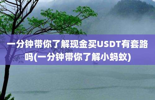 一分钟带你了解现金买USDT有套路吗(一分钟带你了解小蚂蚁)