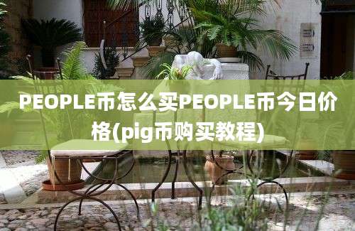 PEOPLE币怎么买PEOPLE币今日价格(pig币购买教程)