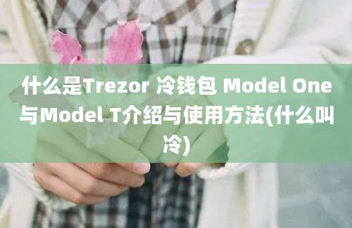 什么是Trezor 冷钱包 Model One与Model T介绍与使用方法(什么叫冷)