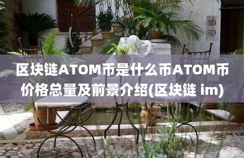 区块链ATOM币是什么币ATOM币价格总量及前景介绍(区块链 im)