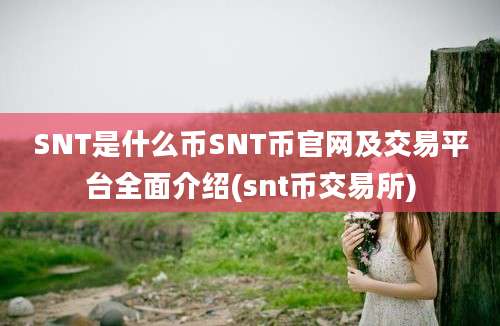 SNT是什么币SNT币官网及交易平台全面介绍(snt币交易所)