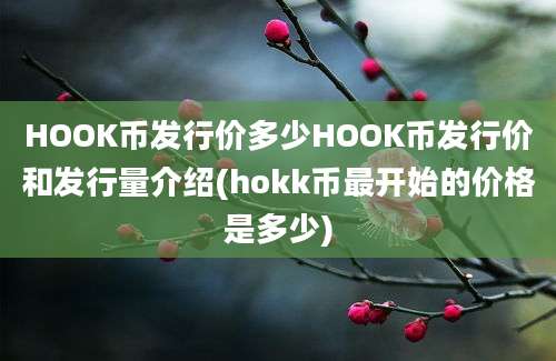 HOOK币发行价多少HOOK币发行价和发行量介绍(hokk币最开始的价格是多少)