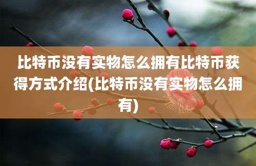 比特币没有实物怎么拥有比特币获得方式介绍(比特币没有实物怎么拥有)