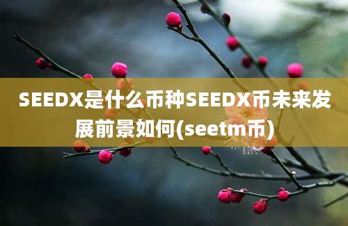 SEEDX是什么币种SEEDX币未来发展前景如何(seetm币)