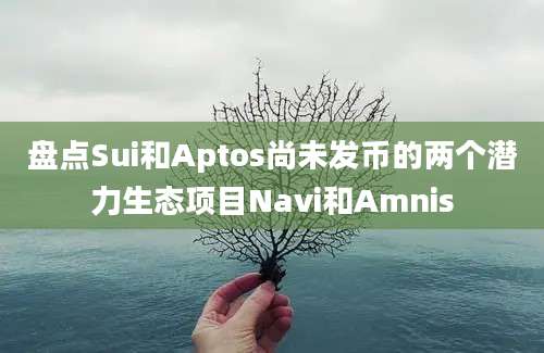 盘点Sui和Aptos尚未发币的两个潜力生态项目Navi和Amnis