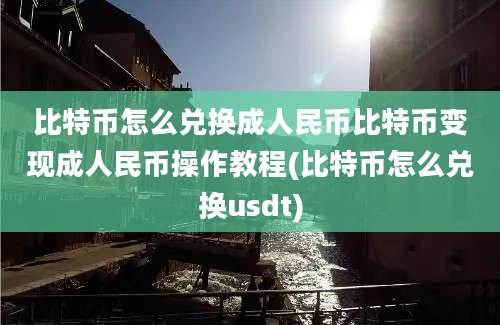 比特币怎么兑换成人民币比特币变现成人民币操作教程(比特币怎么兑换usdt)