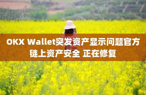 OKX Wallet突发资产显示问题官方链上资产安全 正在修复