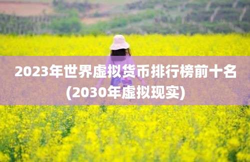 2023年世界虚拟货币排行榜前十名(2030年虚拟现实)