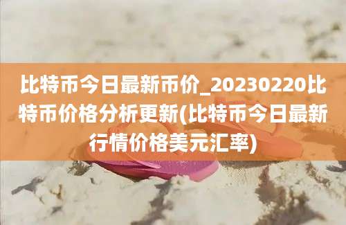 比特币今日最新币价_20230220比特币价格分析更新(比特币今日最新行情价格美元汇率)