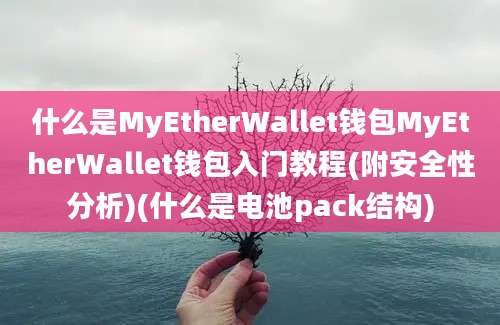 什么是MyEtherWallet钱包MyEtherWallet钱包入门教程(附安全性分析)(什么是电池pack结构)