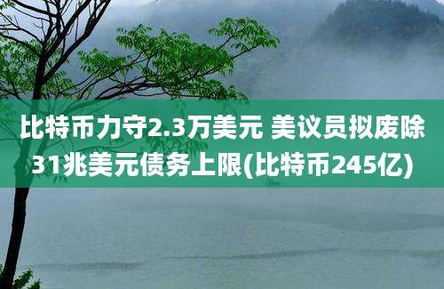 比特币力守2.3万美元 美议员拟废除31兆美元债务上限(比特币245亿)