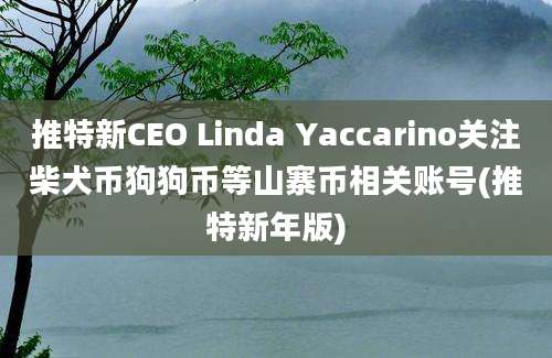 推特新CEO Linda Yaccarino关注柴犬币狗狗币等山寨币相关账号(推特新年版)